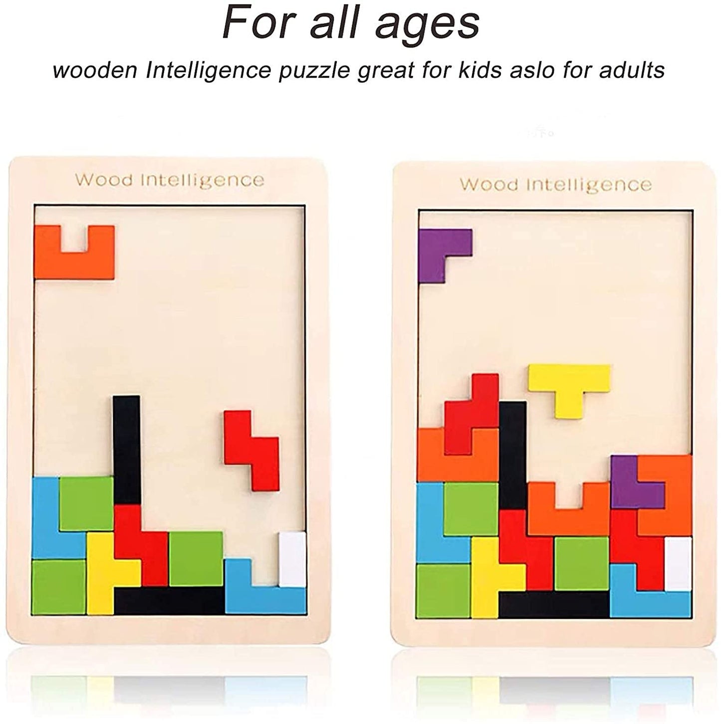 WOODEN INTELLEGENCE PUZZLE