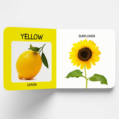 My First Little Librarian: Boxset of 12 Best Board Books for Kids