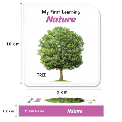 My First Little Librarian: Boxset of 12 Best Board Books for Kids