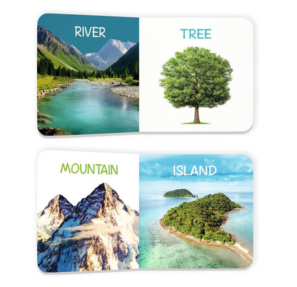 My First Little Librarian: Boxset of 12 Best Board Books for Kids